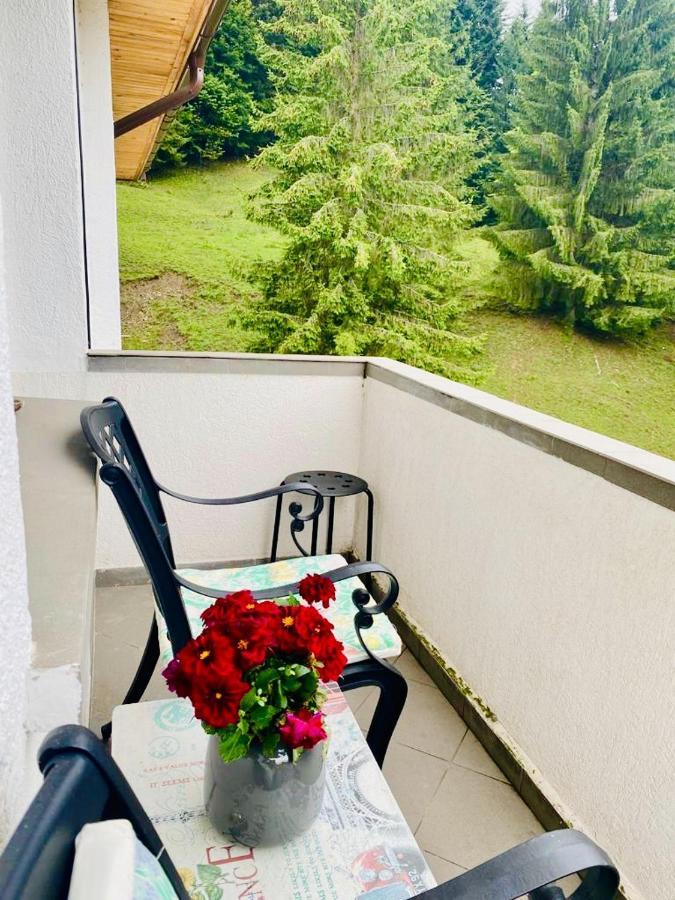 Apartament Durau Dış mekan fotoğraf